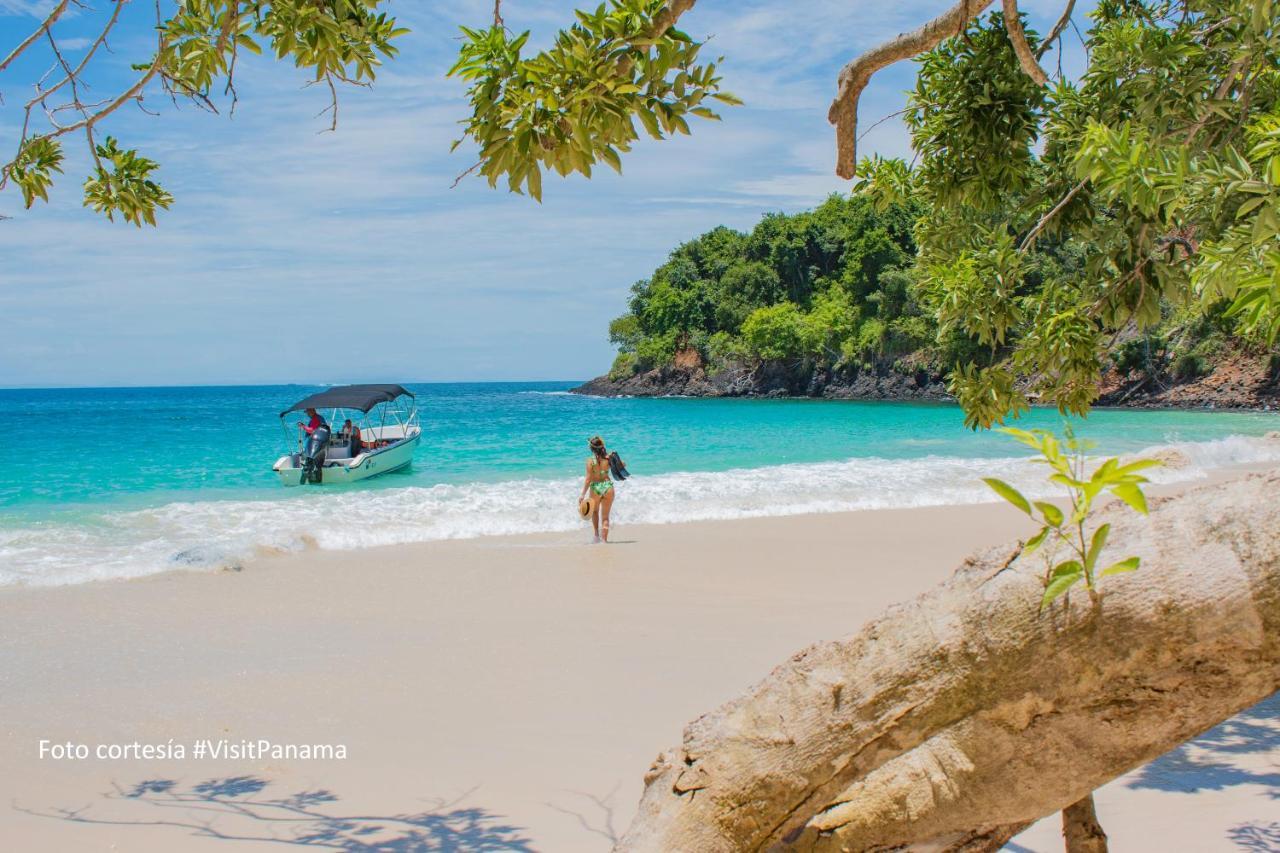Готель Bocas Del Mar Бока-Чіка Екстер'єр фото
