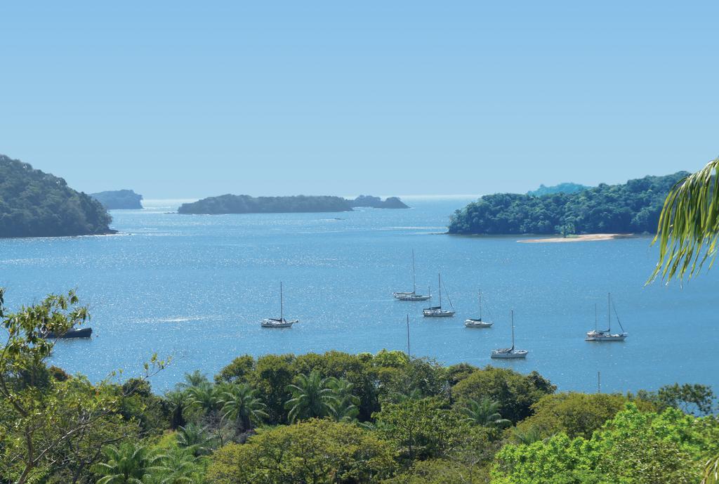 Готель Bocas Del Mar Бока-Чіка Екстер'єр фото